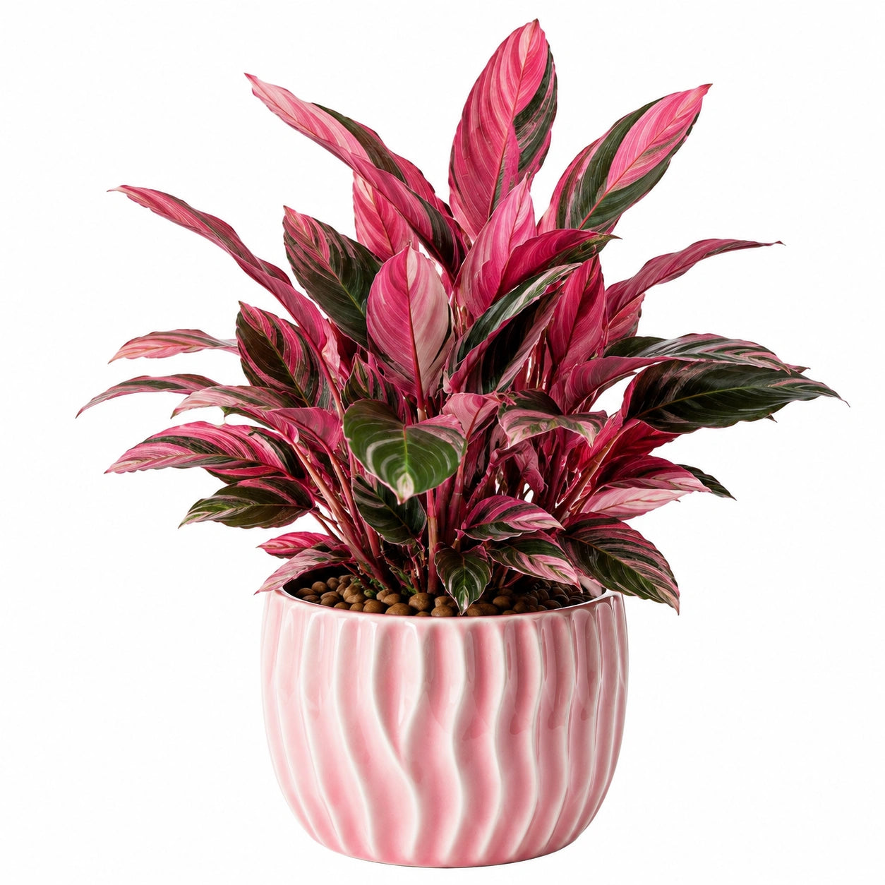 Pianta artificiale in vaso 75 cm con foglie rosa e verdi per interni