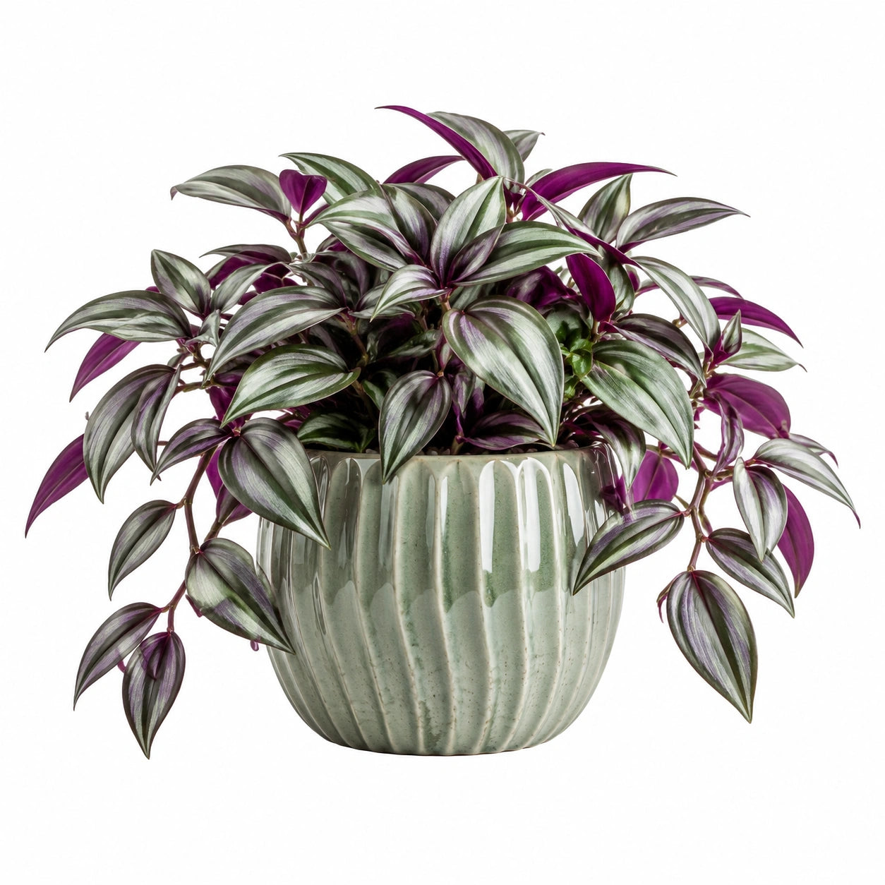 Pianta artificiale ricadente in vaso 45 cm in plastica verde argento e viola per interni