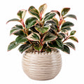 Pianta verde artificiale in vaso 55 cm foglie sintetiche verde crema rosa - decorazione da interno