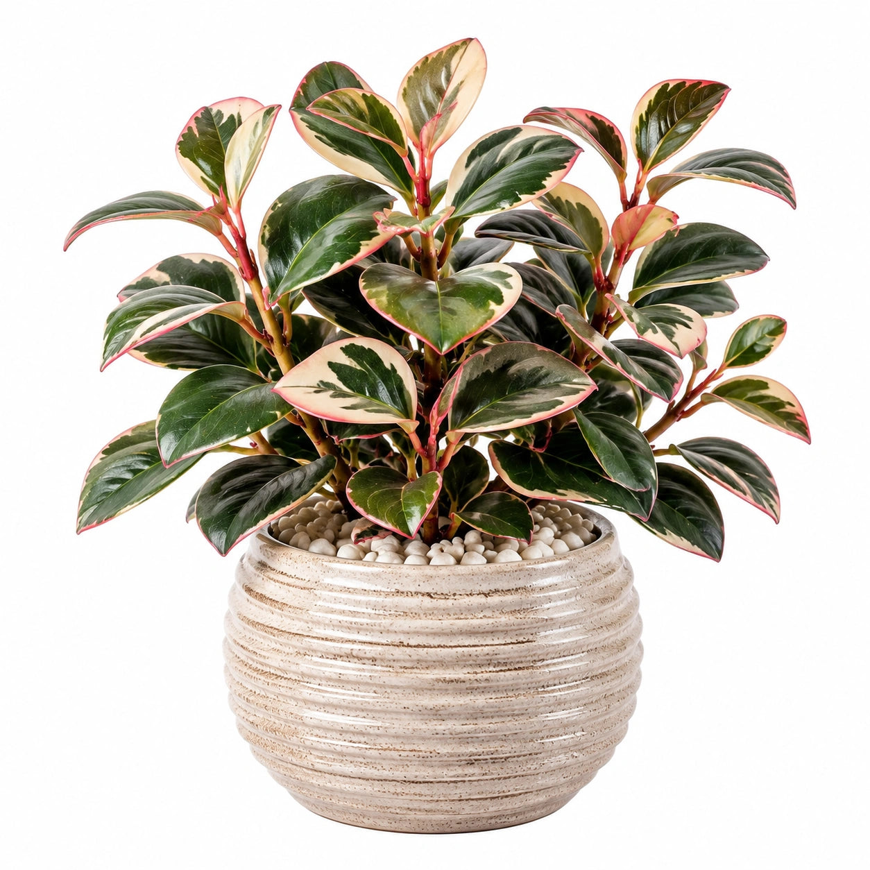 Pianta verde artificiale in vaso 55 cm foglie sintetiche verde crema rosa - decorazione da interno
