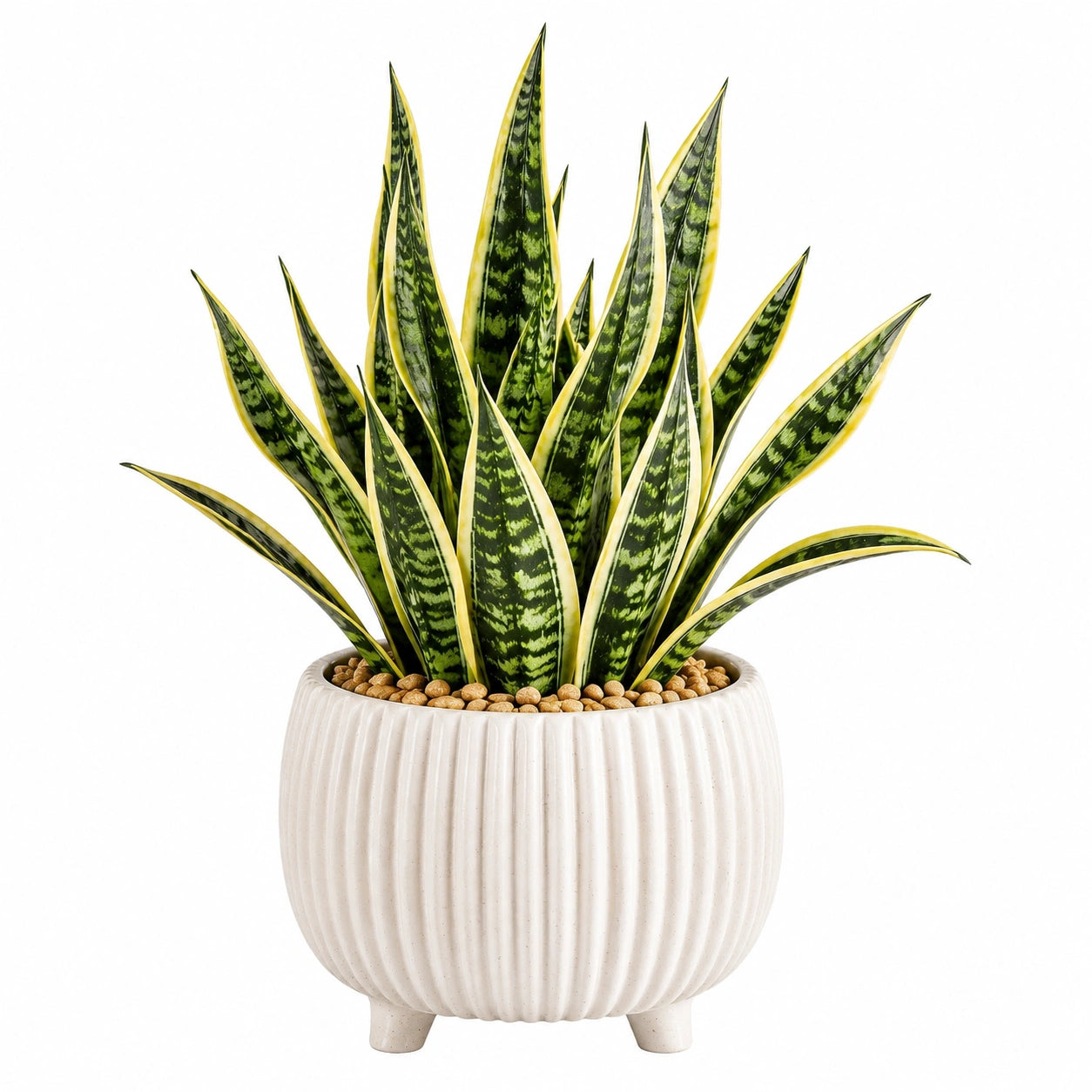 Pianta artificiale Sansevieria 75 cm in materiale sintetico verde/giallo con vaso decorativo da interno