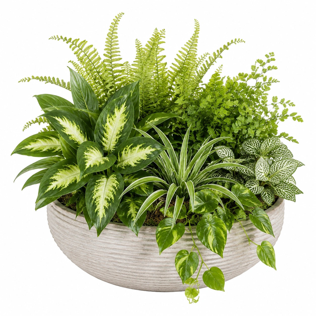 Pianta verde artificiale 70 cm in plastica con vaso grigio - composizione decorativa da interno